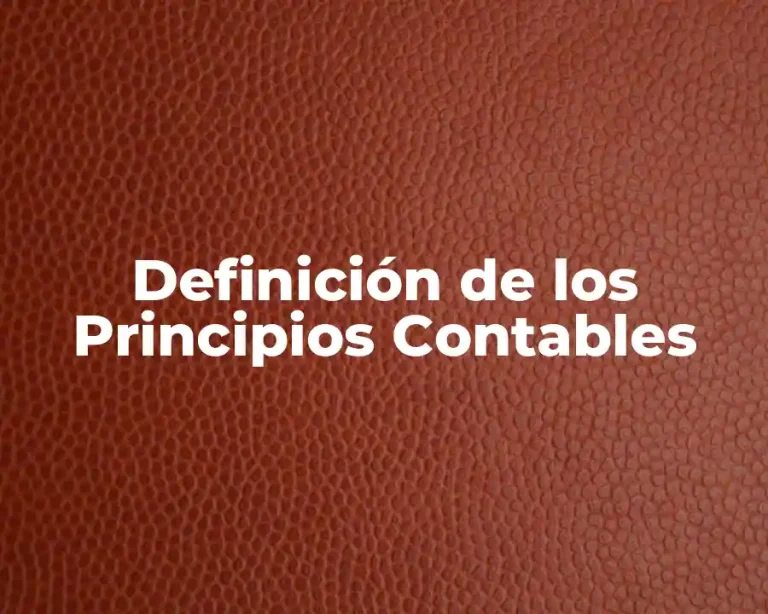 Definición de los Principios Contables