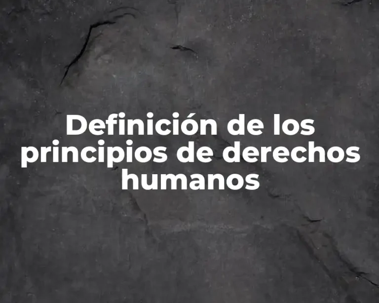 Definición de los principios de derechos humanos