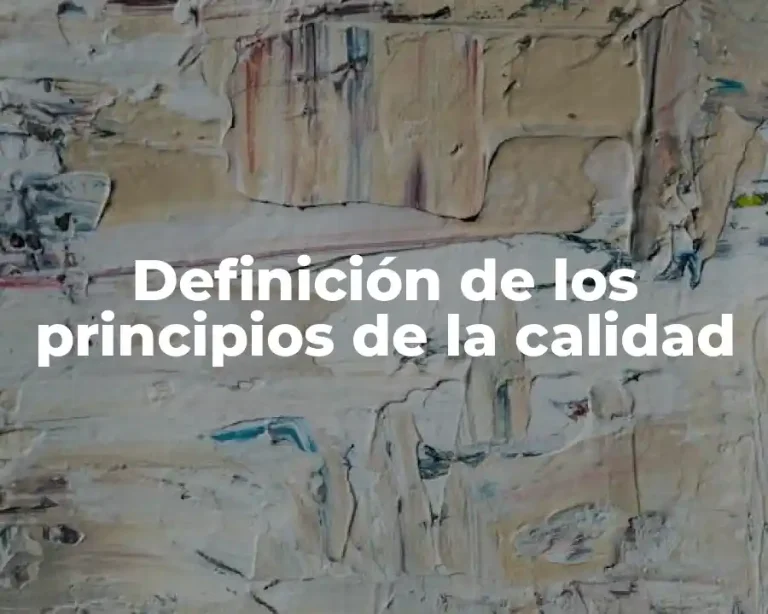 Definición de los principios de la calidad