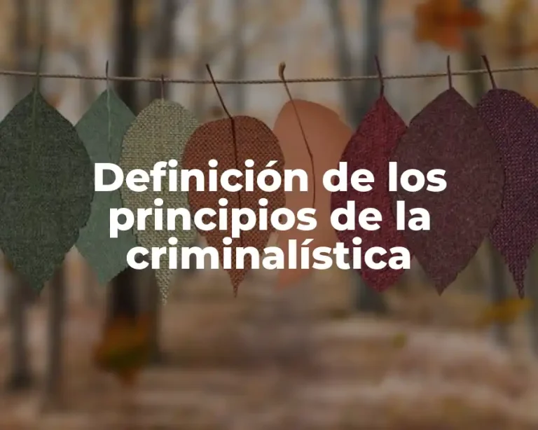 Definición de los principios de la criminalística
