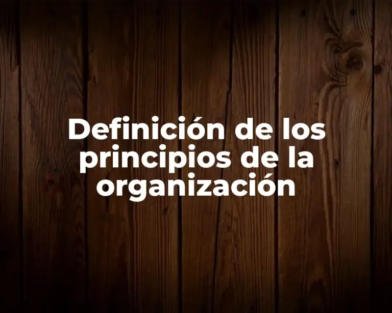 Definición de los principios de la organización