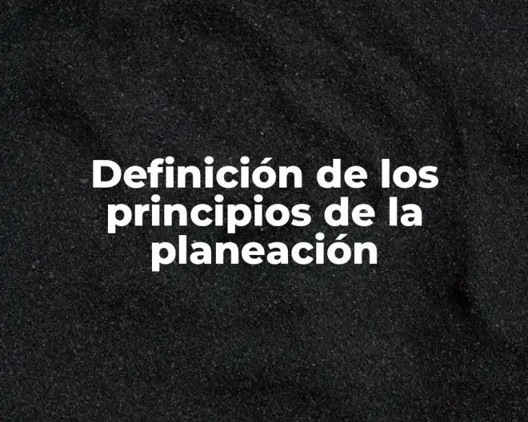Definición de los principios de la planeación