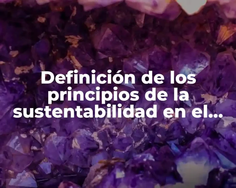 Definición de los principios de la sustentabilidad en el turismo