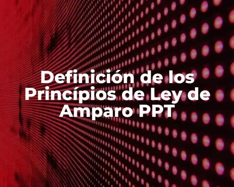 Definición de los Princípios de Ley de Amparo PPT