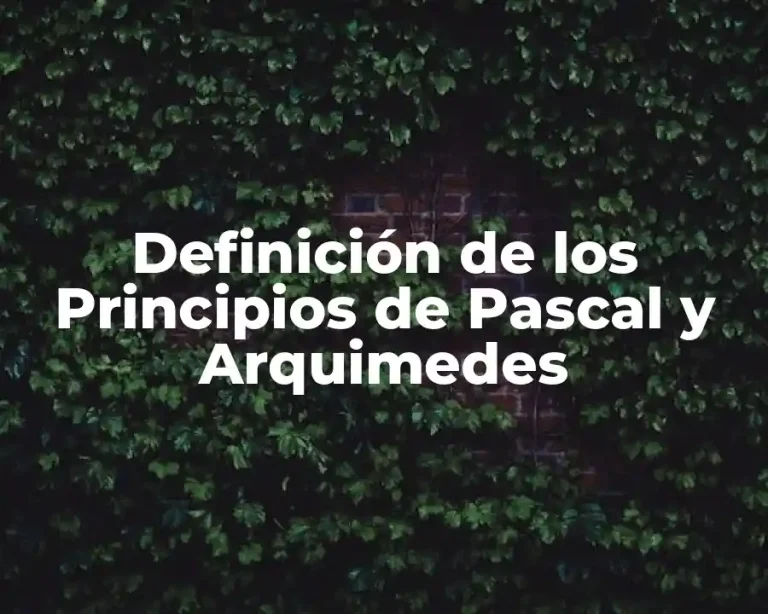 Definición de los Principios de Pascal y Arquimedes