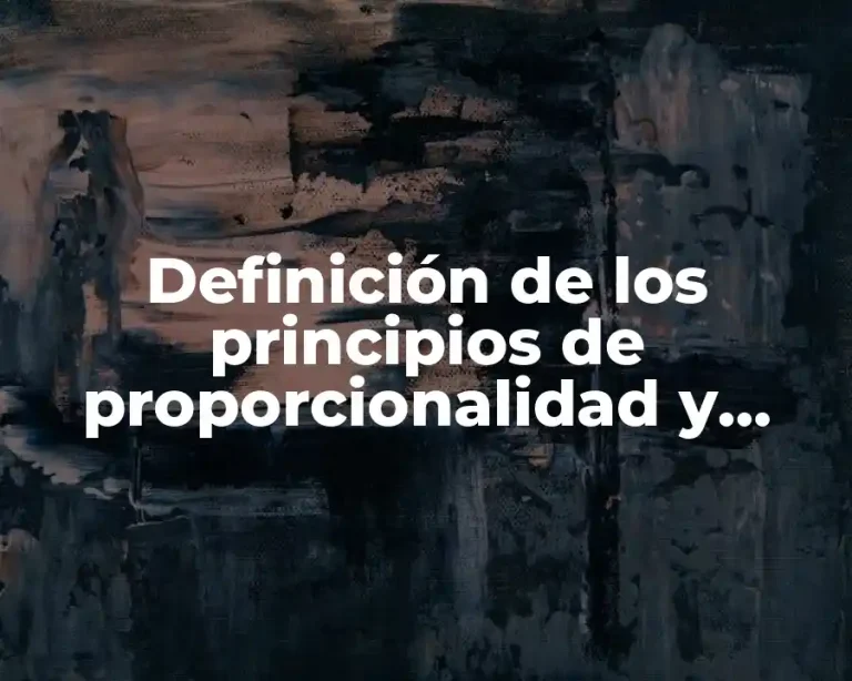 Definición de los principios de proporcionalidad y equidad