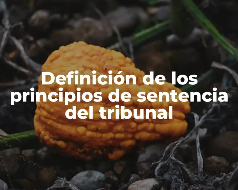 Definición de los principios de sentencia del tribunal
