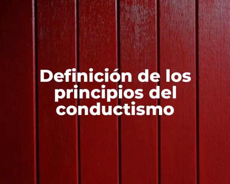 Definición de los principios del conductismo