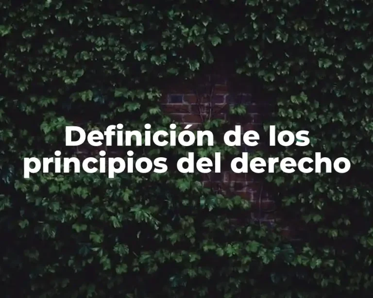 Definición de los principios del derecho