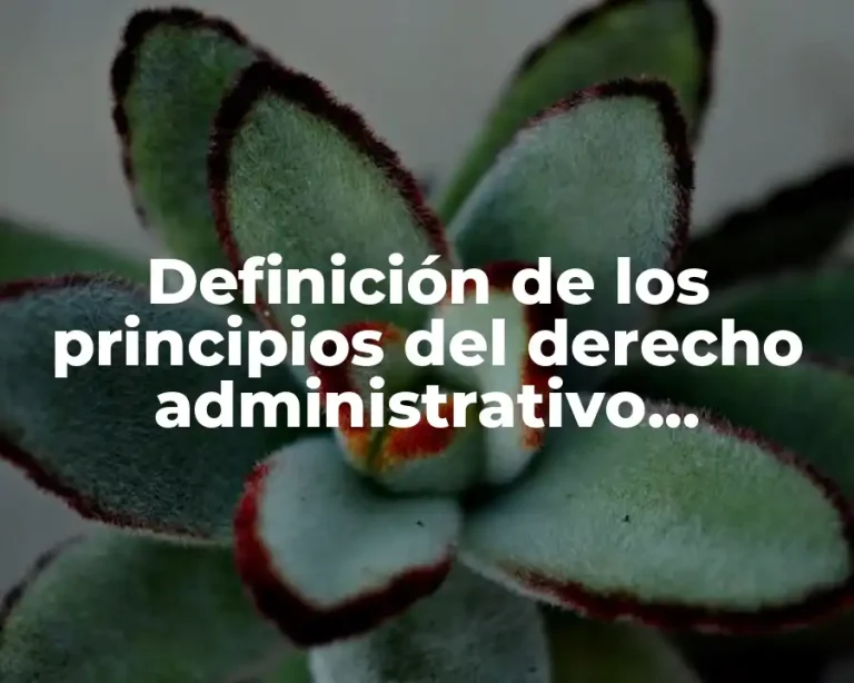 Definición de los principios del derecho administrativo sancionador