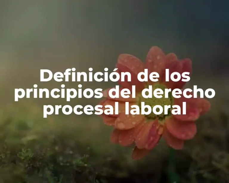 Definición de los principios del derecho procesal laboral