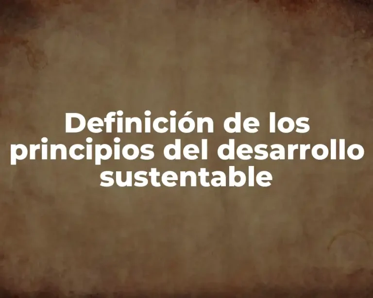 Definición de los principios del desarrollo sustentable
