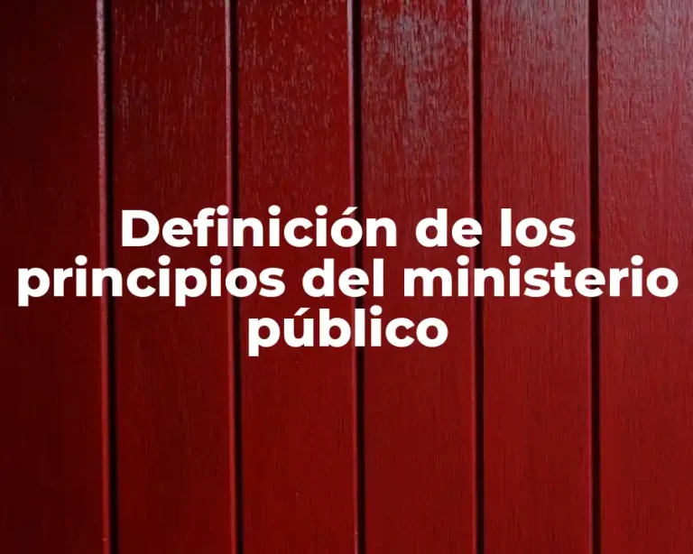 Definición de los principios del ministerio público