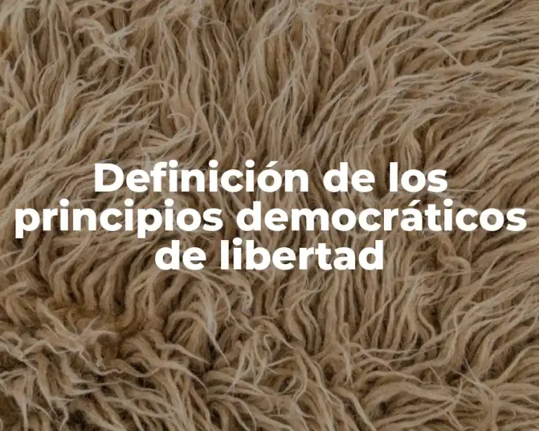 Definición de los principios democráticos de libertad