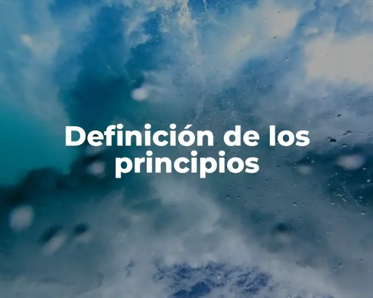 Definición de los principios