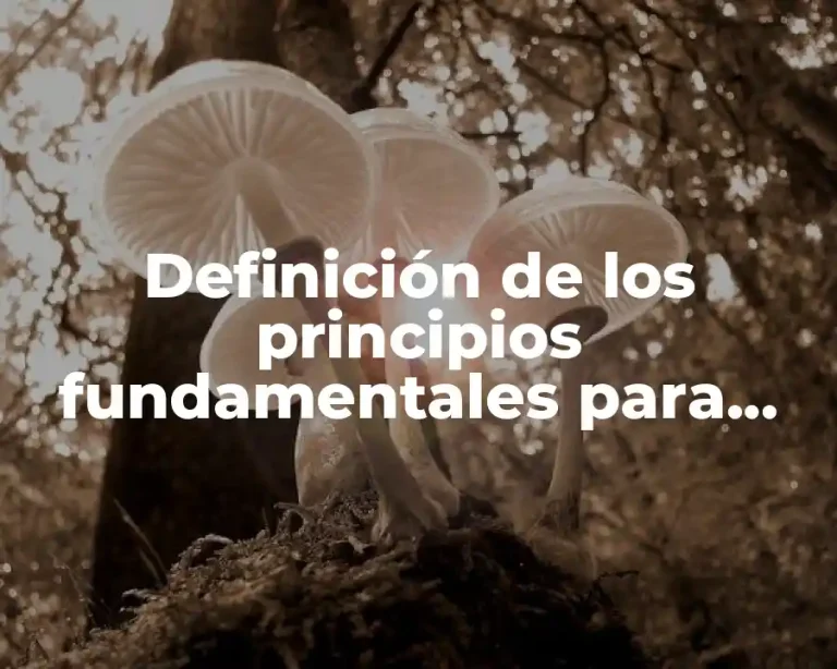 Definición de los principios fundamentales para administración efectivo