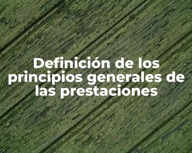 Definición de los principios generales de las prestaciones