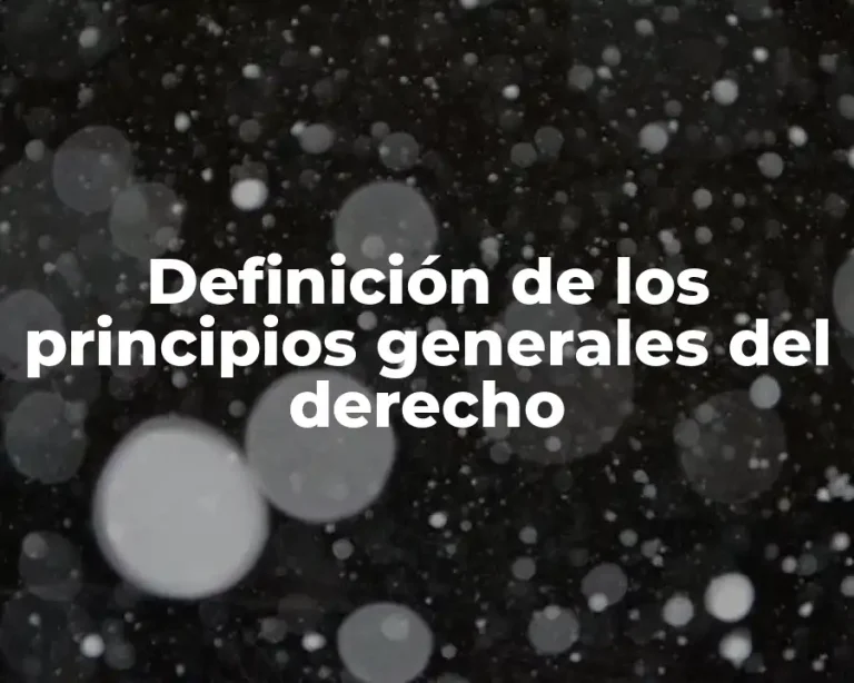 Definición de los principios generales del derecho