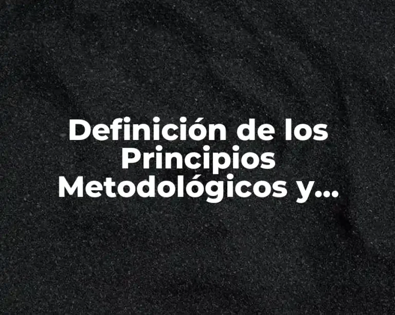 Definición de los Principios Metodológicos y Modelos Didácticos