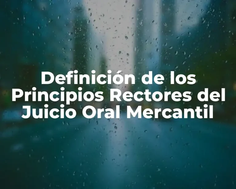 Definición de los Principios Rectores del Juicio Oral Mercantil