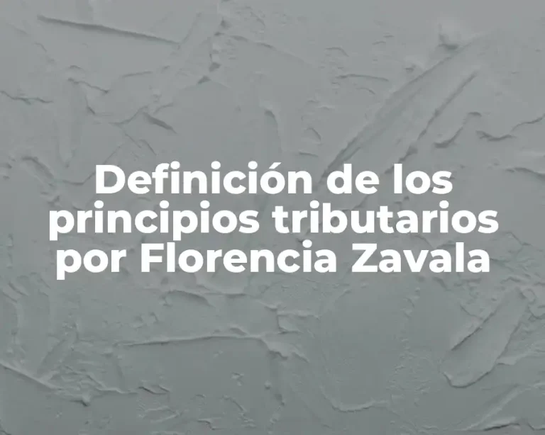 Definición de los principios tributarios por Florencia Zavala