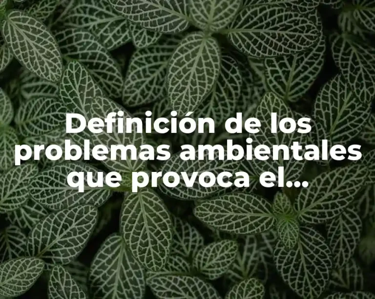 Definición de los problemas ambientales que provoca el detergente