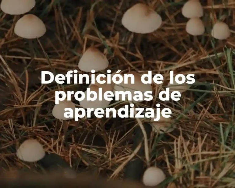 Definición de los problemas de aprendizaje