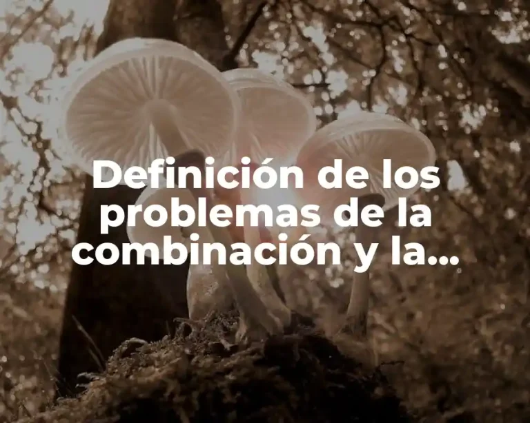 Definición de los problemas de la combinación y la proporcionalidad