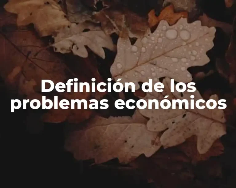 Definición de los problemas económicos