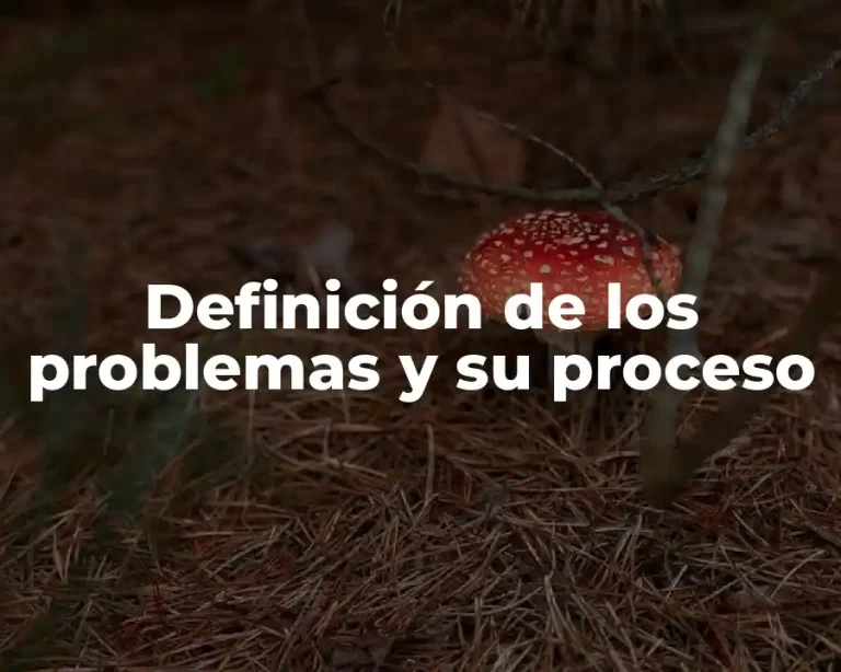 Definición de los problemas y su proceso