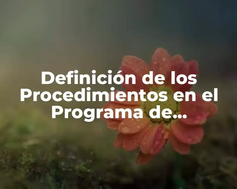Definición de los Procedimientos en el Programa de Capacitación