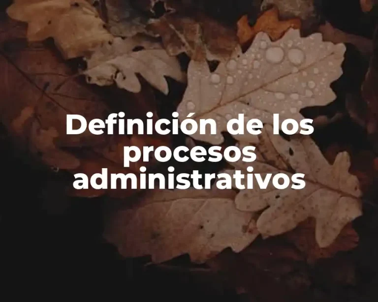 Definición de los procesos administrativos