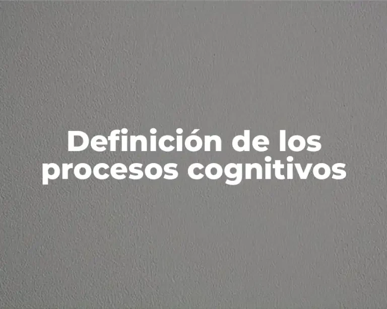 Definición de los procesos cognitivos
