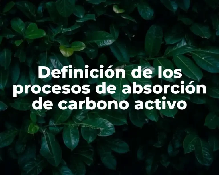 Definición de los procesos de absorción de carbono activo