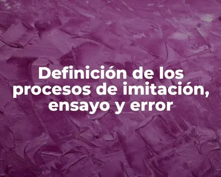 Definición de los procesos de imitación, ensayo y error