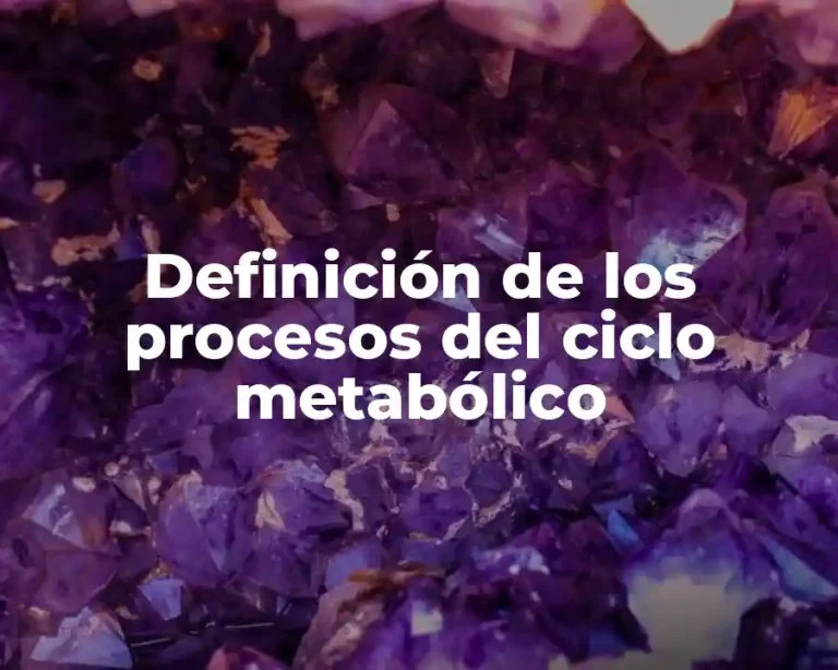 Definición de los procesos del ciclo metabólico