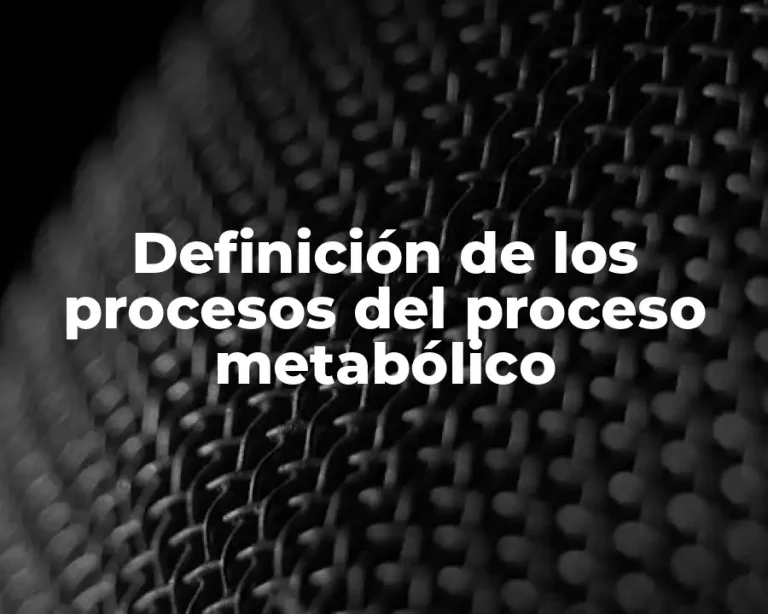 Definición de los procesos del proceso metabólico