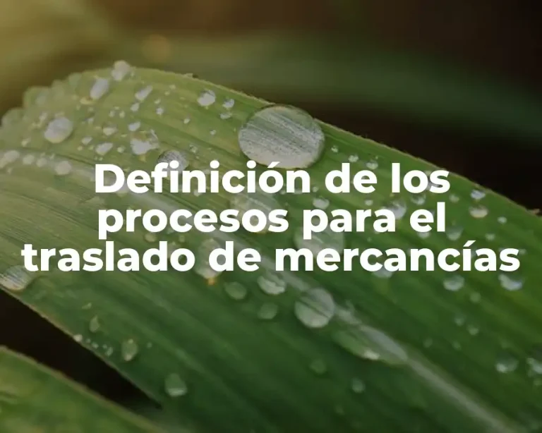 Definición de los procesos para el traslado de mercancías