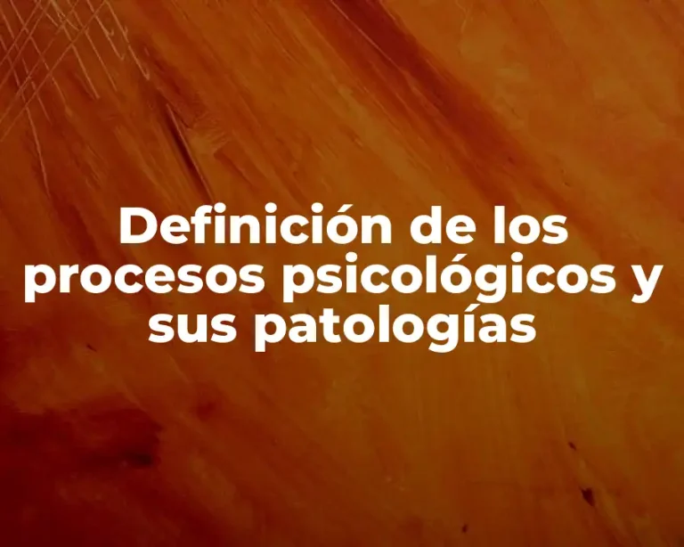 Definición de los procesos psicológicos y sus patologías