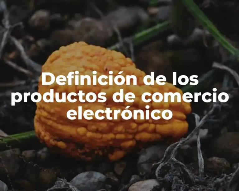 Definición de los productos de comercio electrónico