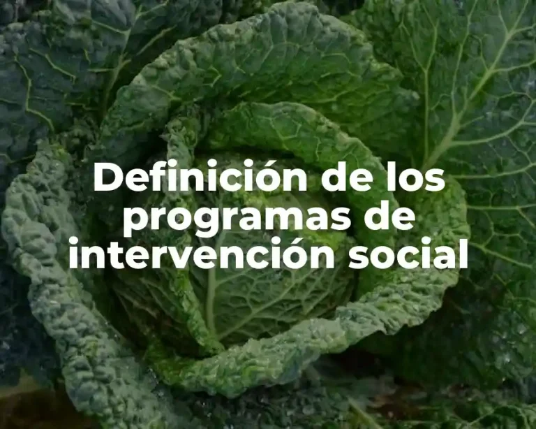 Definición de los programas de intervención social