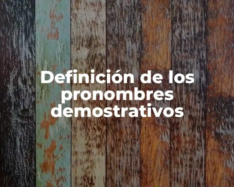 Definición de los pronombres demostrativos