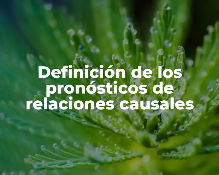 Definición de los pronósticos de relaciones causales