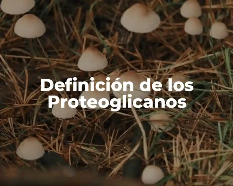 Definición de los Proteoglicanos