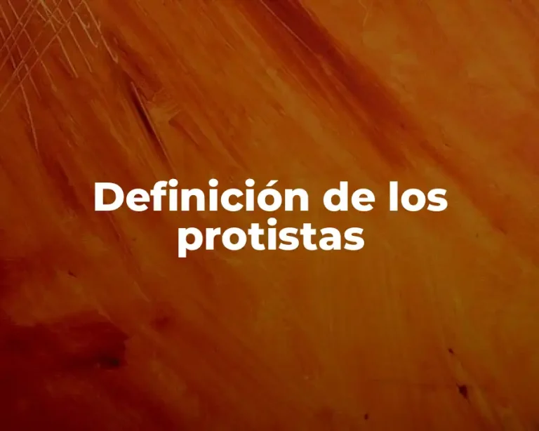 Definición de los protistas