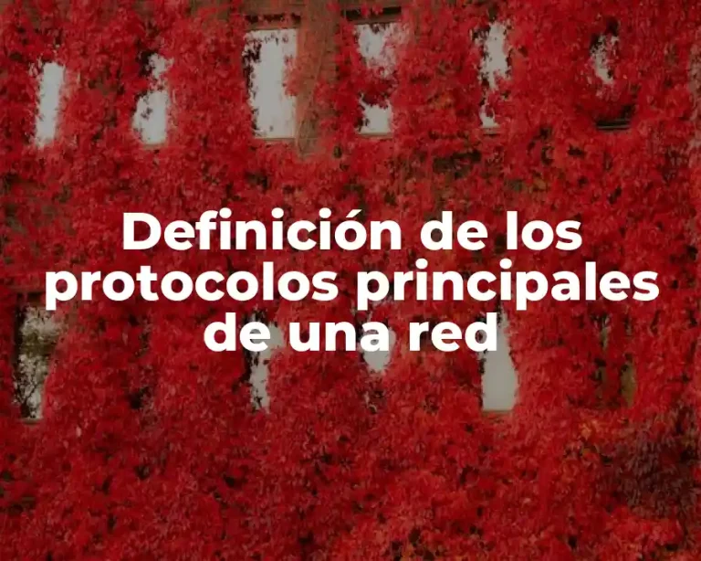 Definición de los protocolos principales de una red