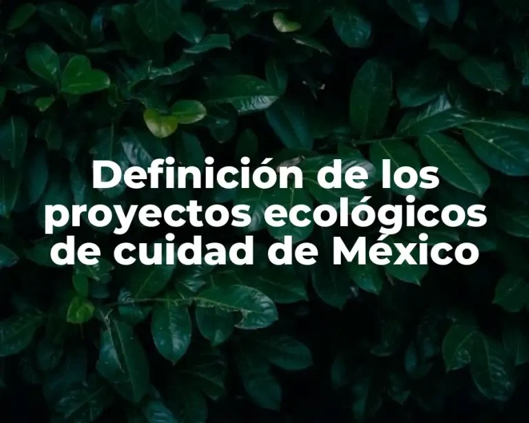 Definición de los proyectos ecológicos de cuidad de México
