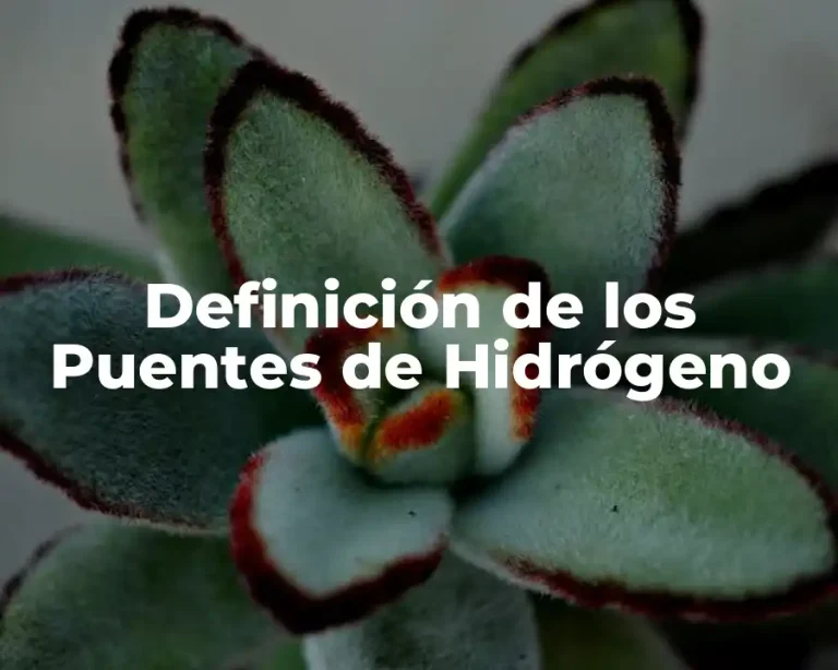 Definición de los Puentes de Hidrógeno