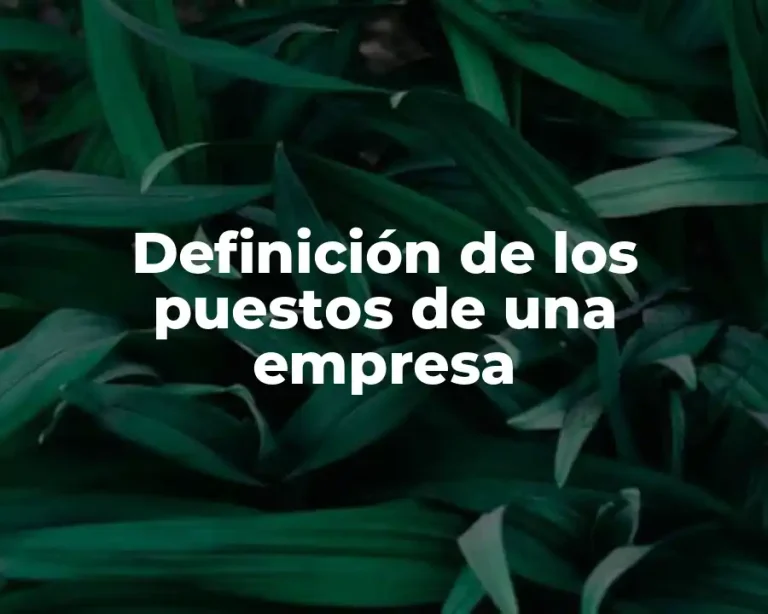 Definición de los puestos de una empresa