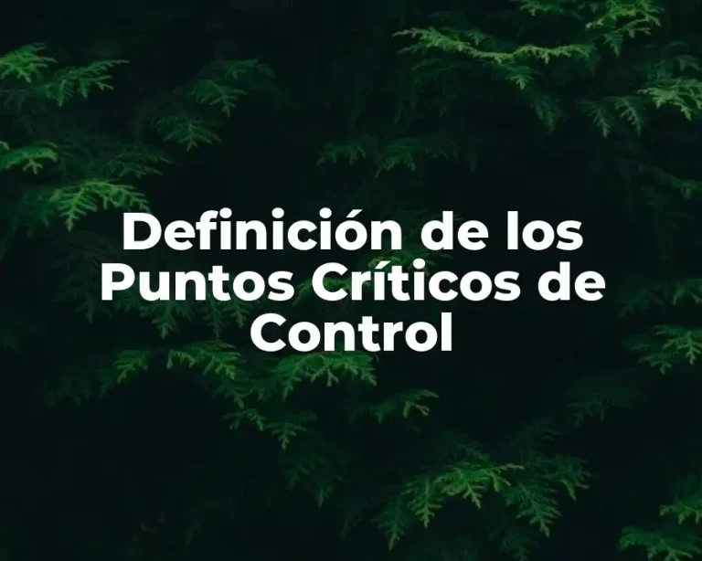 Definición de los Puntos Críticos de Control